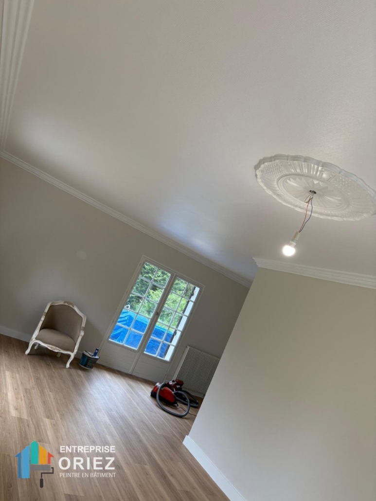 Rénovation complète des murs et plafonds d&rsquo;un séjour